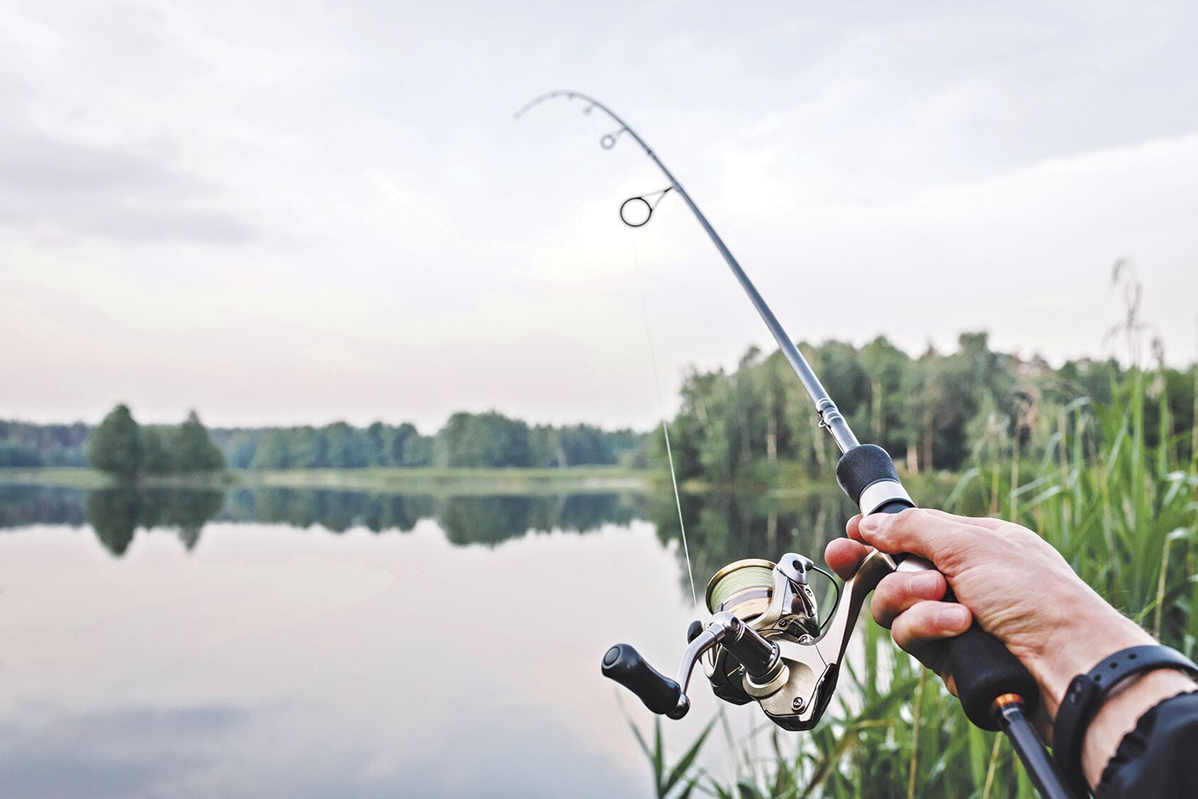 Fishing stock image